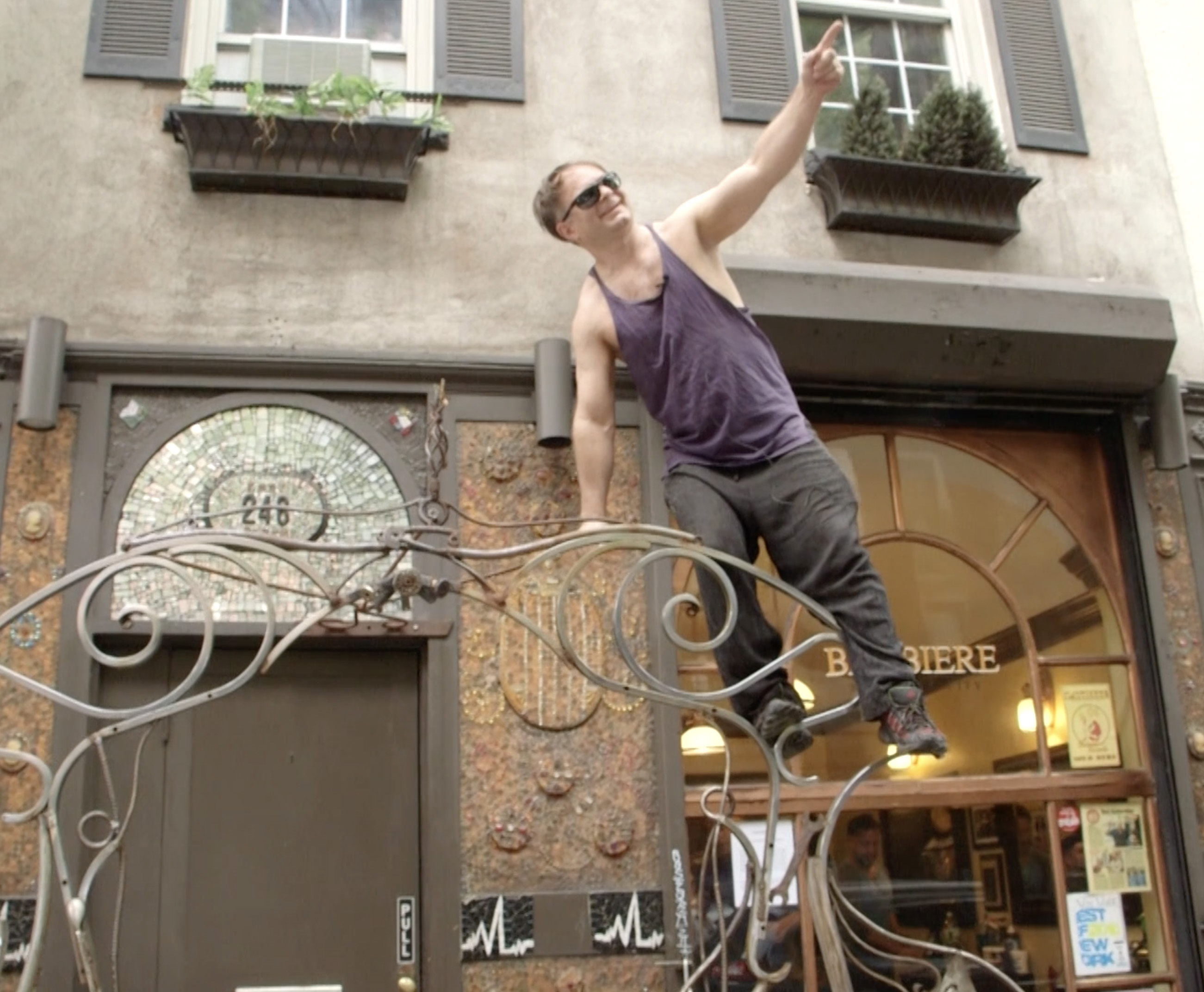 Linus at top of fence 2.jpg