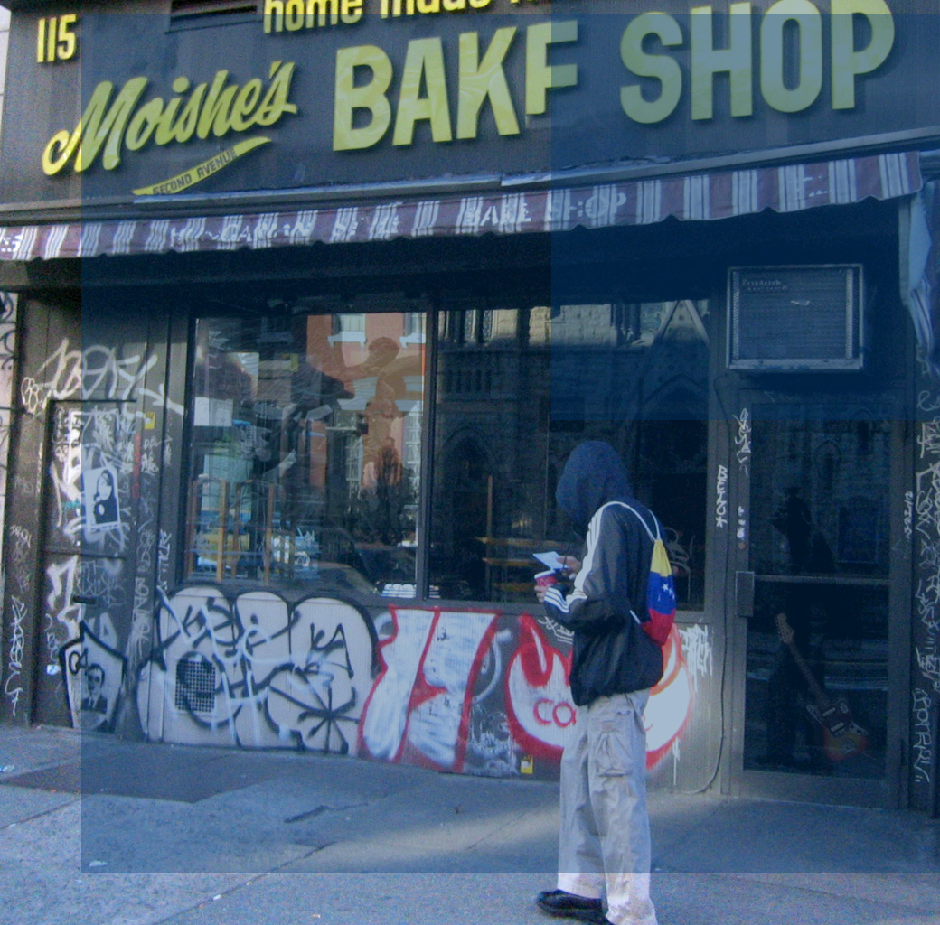 EV Moishes logo1.jpg